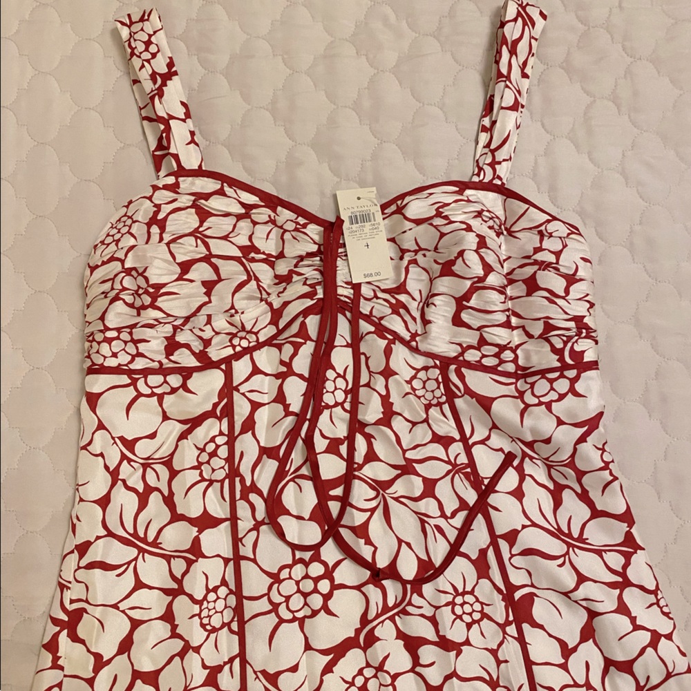 Ann Taylor silk top